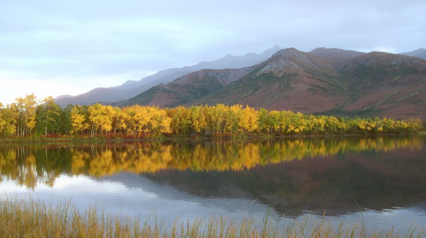 Shoreline reflections in a lake