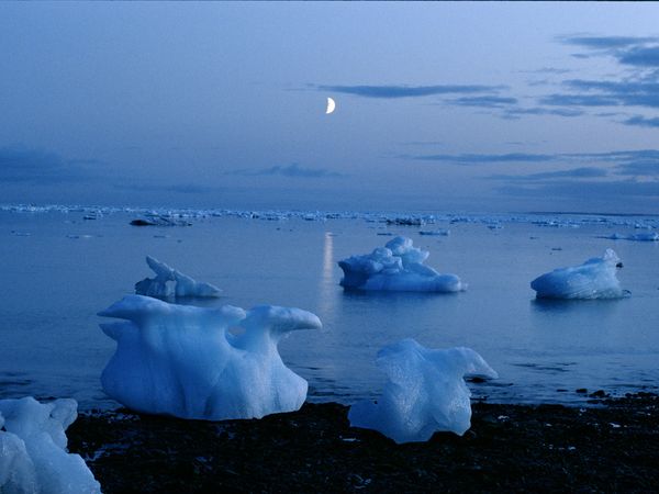 Icebergs dotting a bay with some washed ashore, all in twilight and a bright half moon above