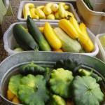 Vegetables at Basically Basil Fairbanks Alaska