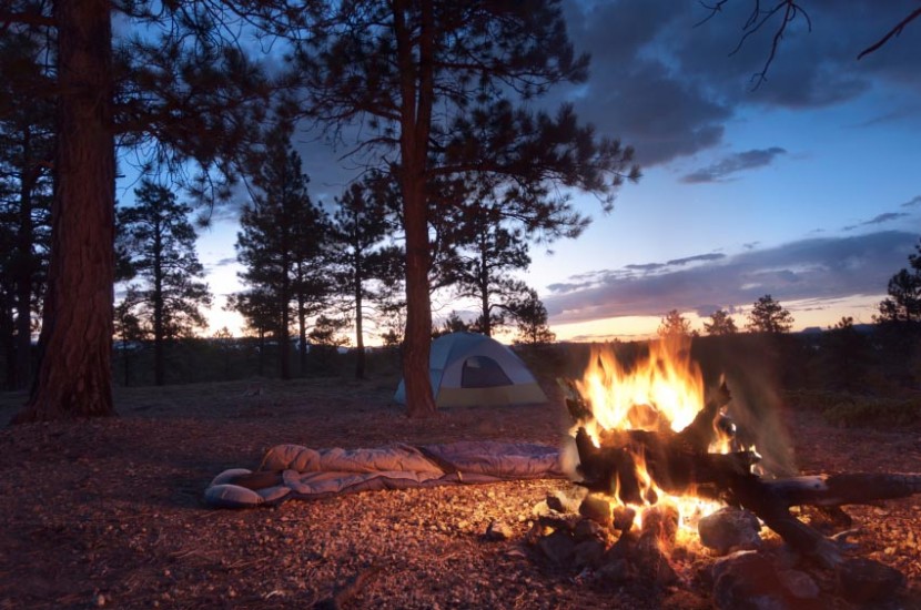 camp fire in front of a tent in the woods