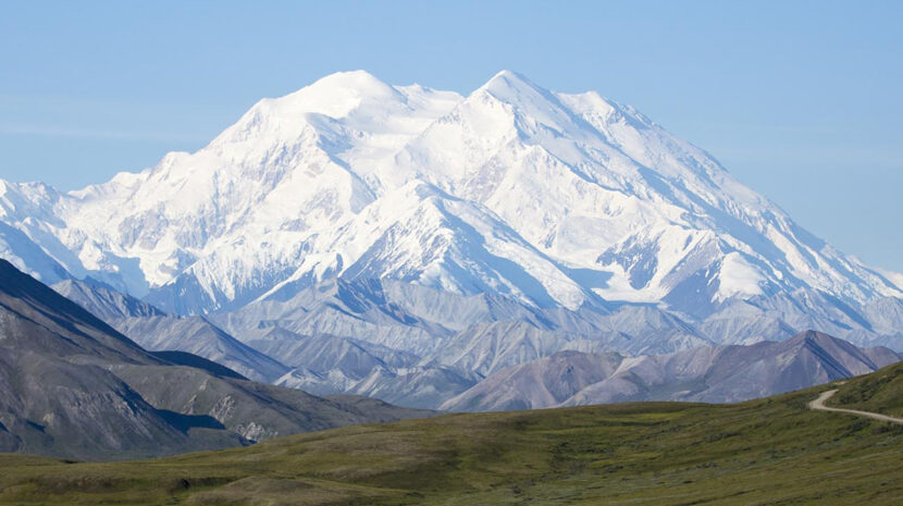 Overlooked animals of Denali National Park and Preserve