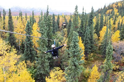 Denali Park Zipline Adventure