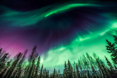 the Northern Lights