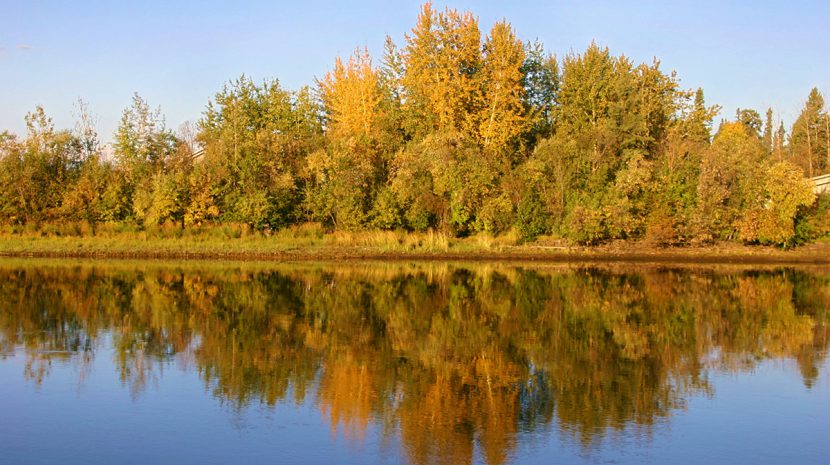 The Chena River flows through downtown Fairbanks to the outskirts of the city.