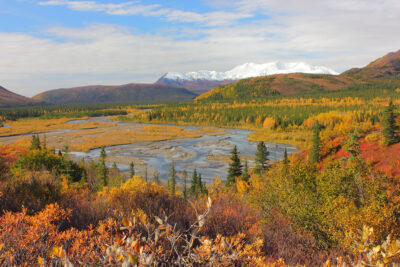 Fall in Denali National Park