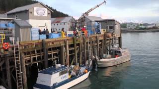 Fishing boats dock at a pier