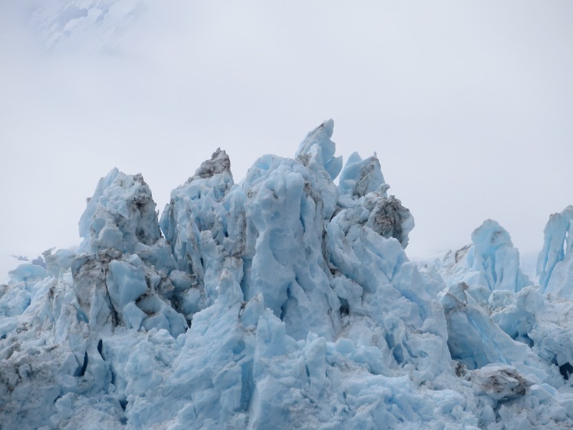 Surprise Glacier