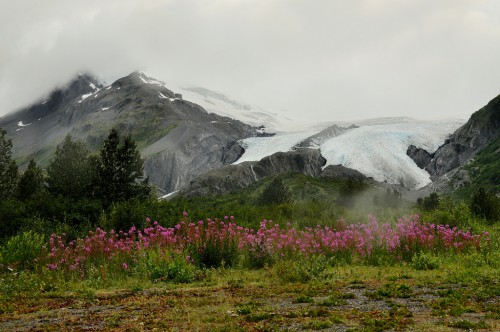 Worthington Glacier Copper River