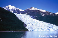 Glacier cruises in Kenai Fjords