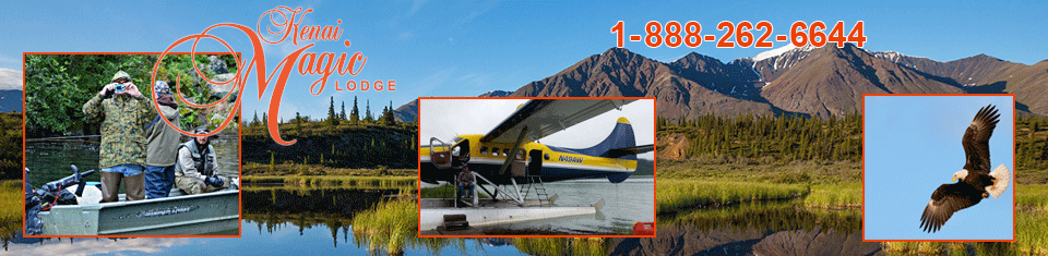 bannertransportation